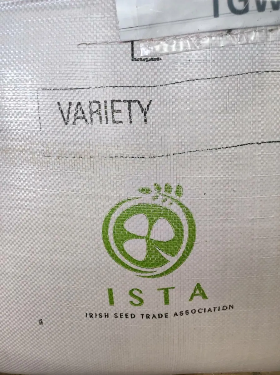 Certified treated barley seed - Image 2