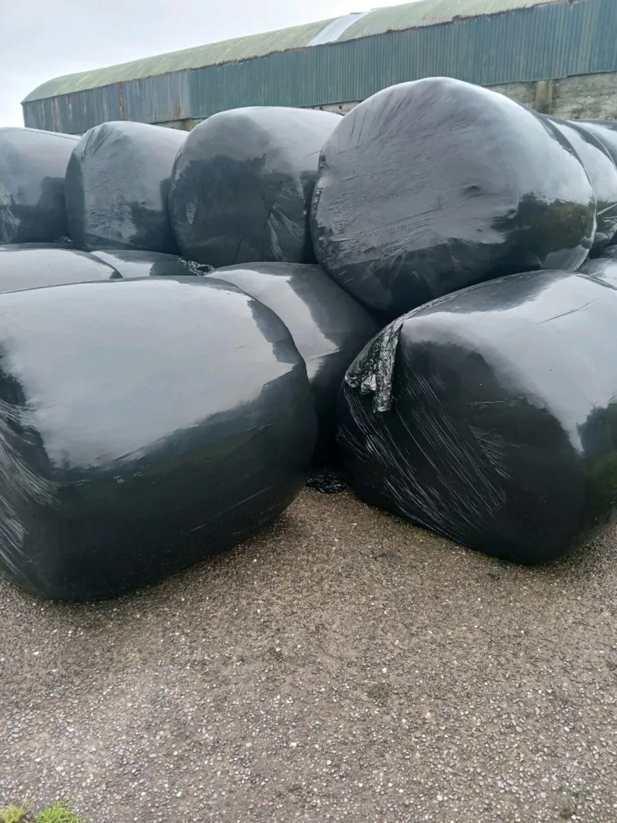 Silage bales. Portmagee - Image 1