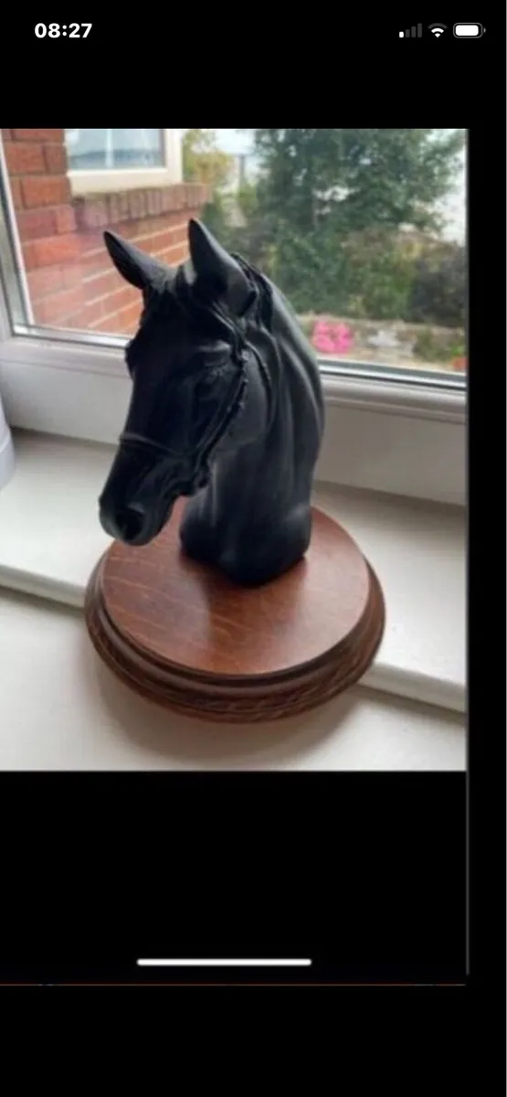 Vintage Horse Head Display - Image 3