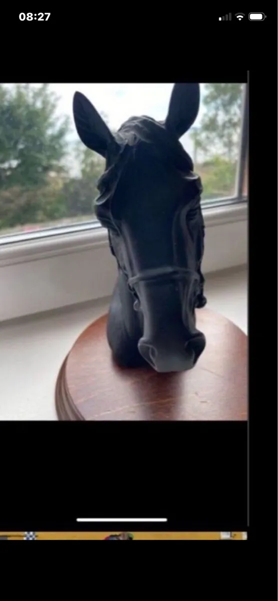 Vintage Horse Head Display - Image 4