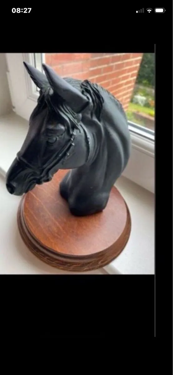 Vintage Horse Head Display - Image 1