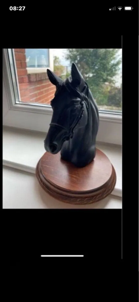 Vintage Horse Head Display - Image 2