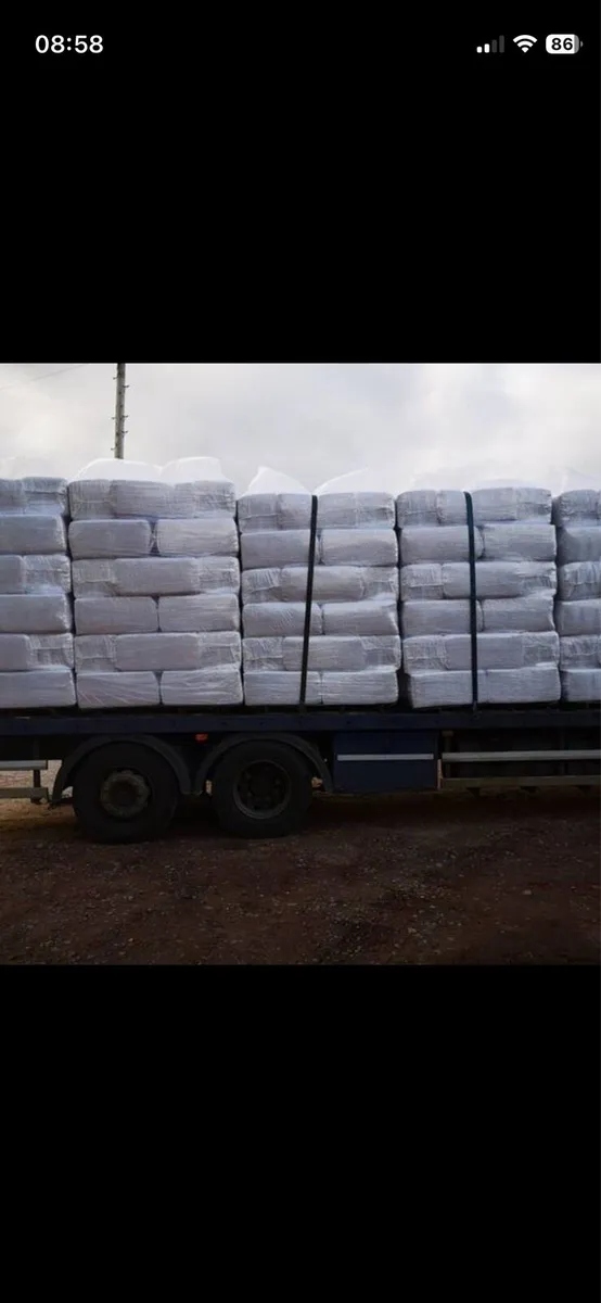 Wood shavings bedding - Image 2