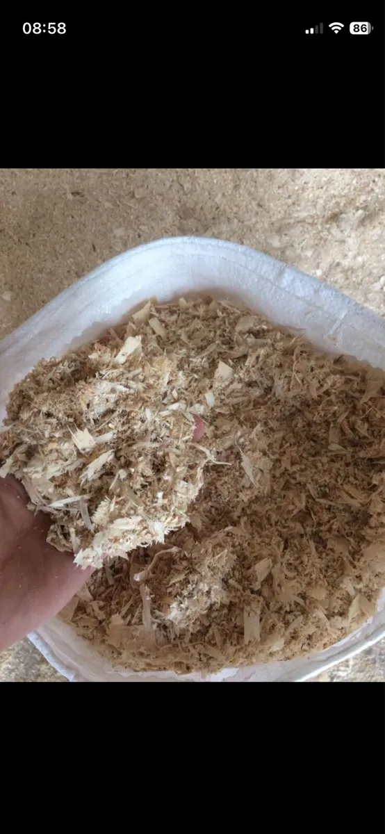 Wood shavings bedding - Image 3
