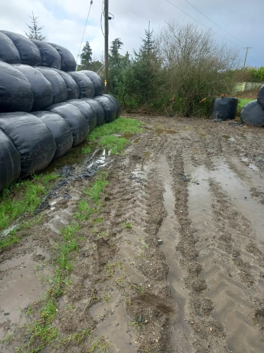 Silage bales - Image 1