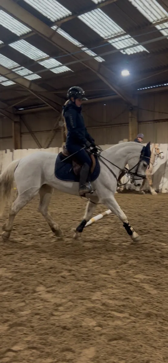 14.2 Schoolmaster - Image 1