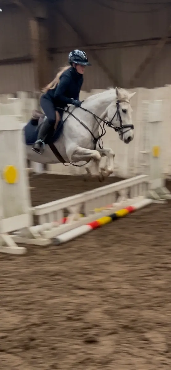 14.2 Schoolmaster - Image 4