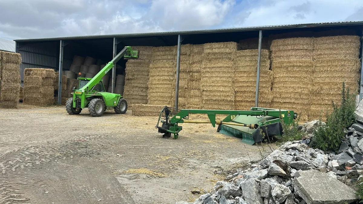 Wheaten straw - Image 1