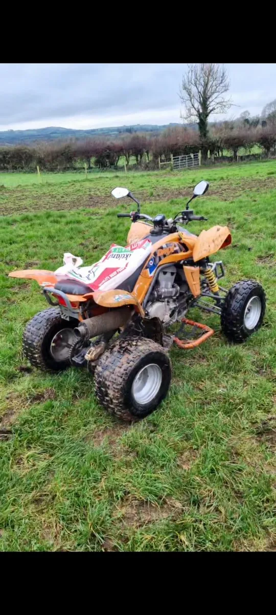 Dinli demon 450cc - Image 2