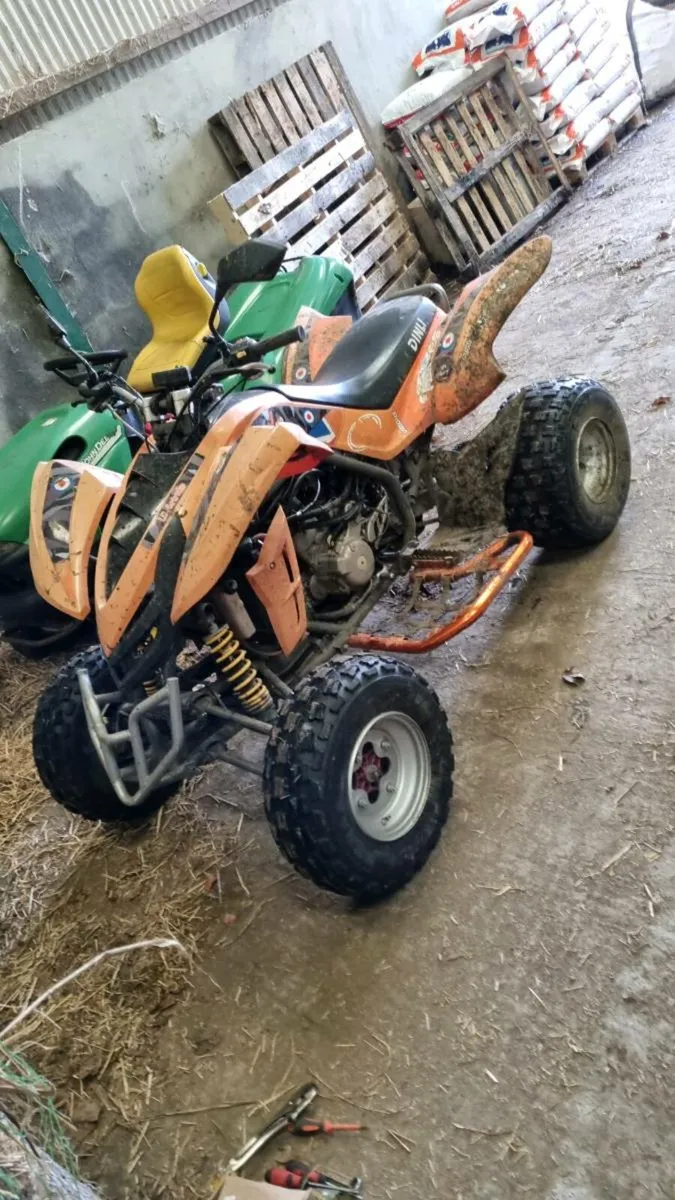 Dinli demon 450cc - Image 1