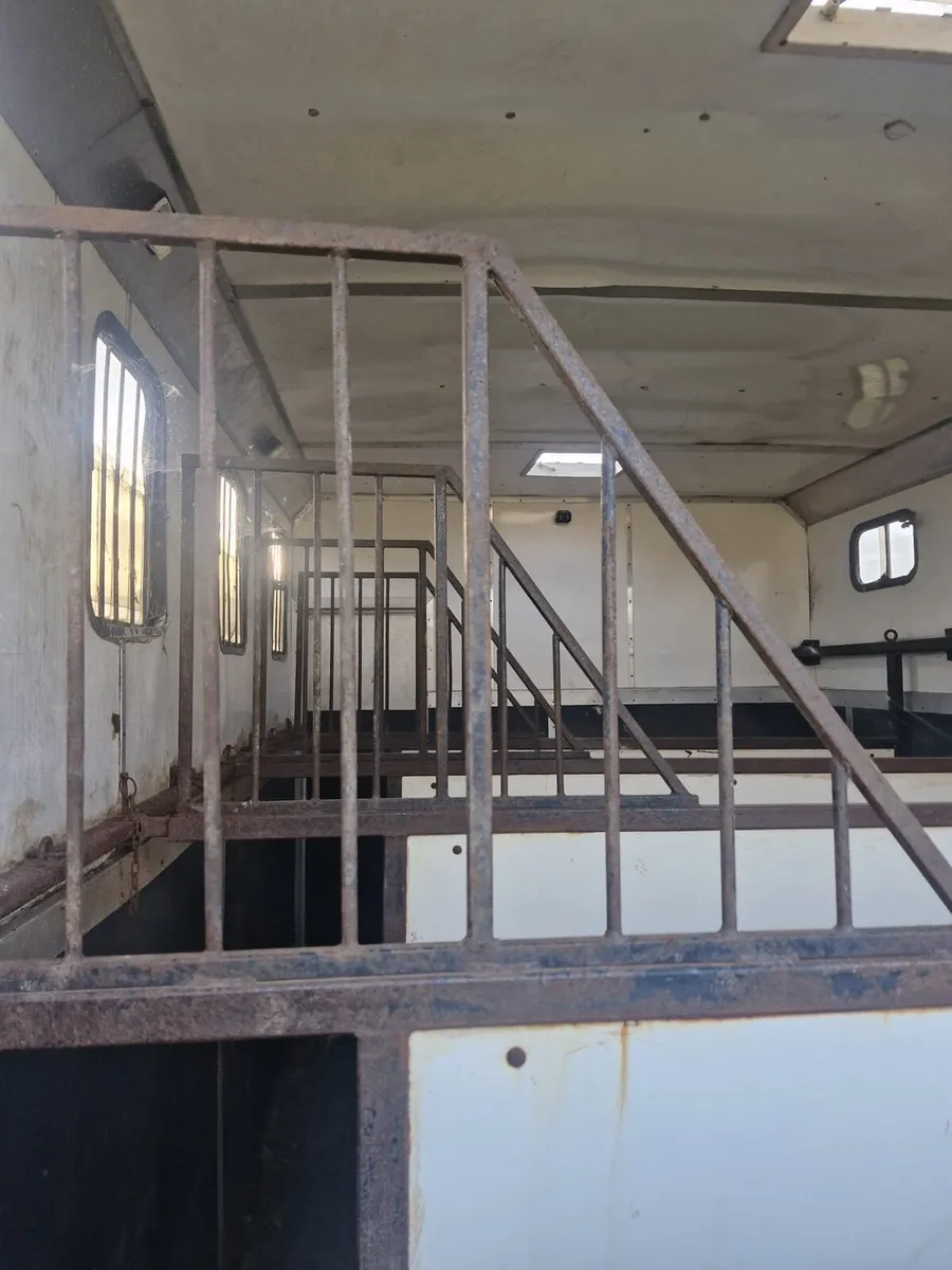 Man 5 horse lorry - Image 4