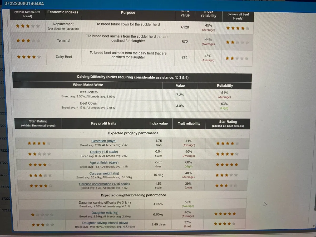 Pedigree Simmental Bulls - Image 4