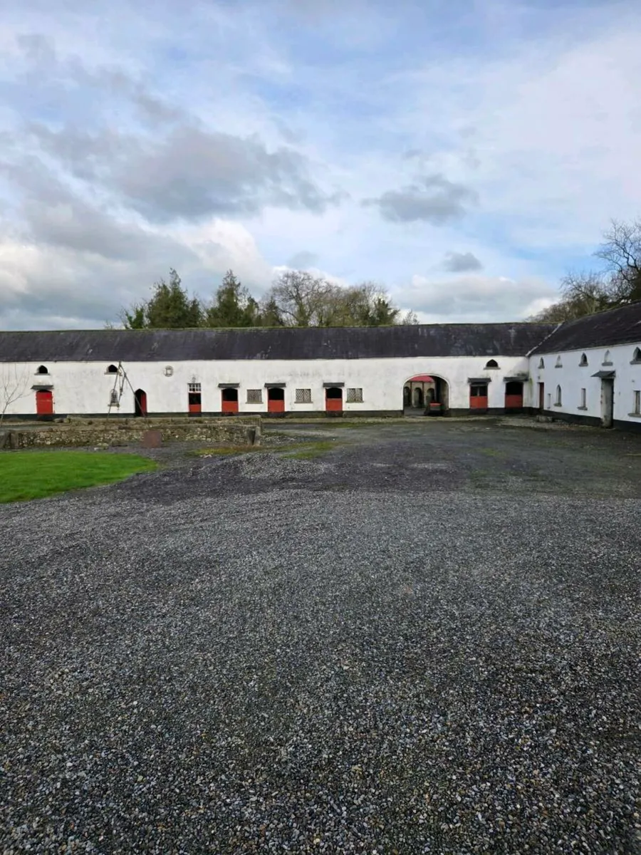 Livery Horse boarding - Image 1