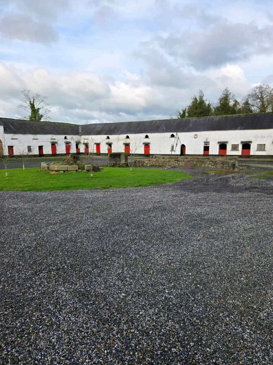 Livery Horse boarding - Image 2