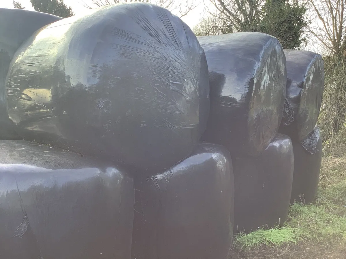 Round bales silage and haylage - Image 1