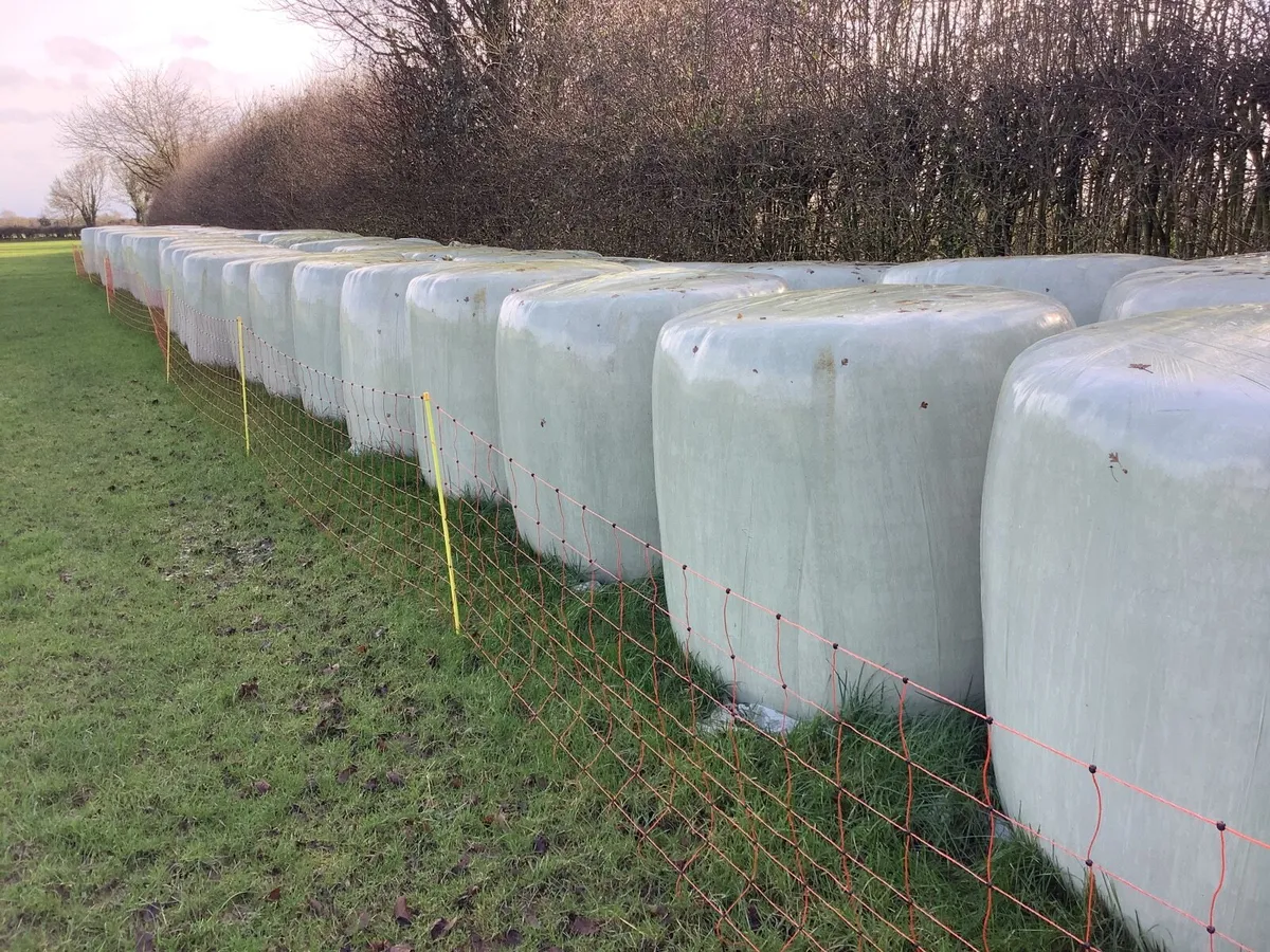 Round bales silage and haylage - Image 2
