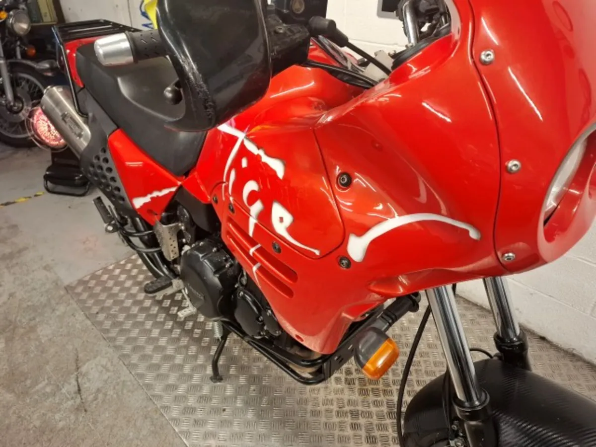 Triumph Tiger 900 1994 - Image 2
