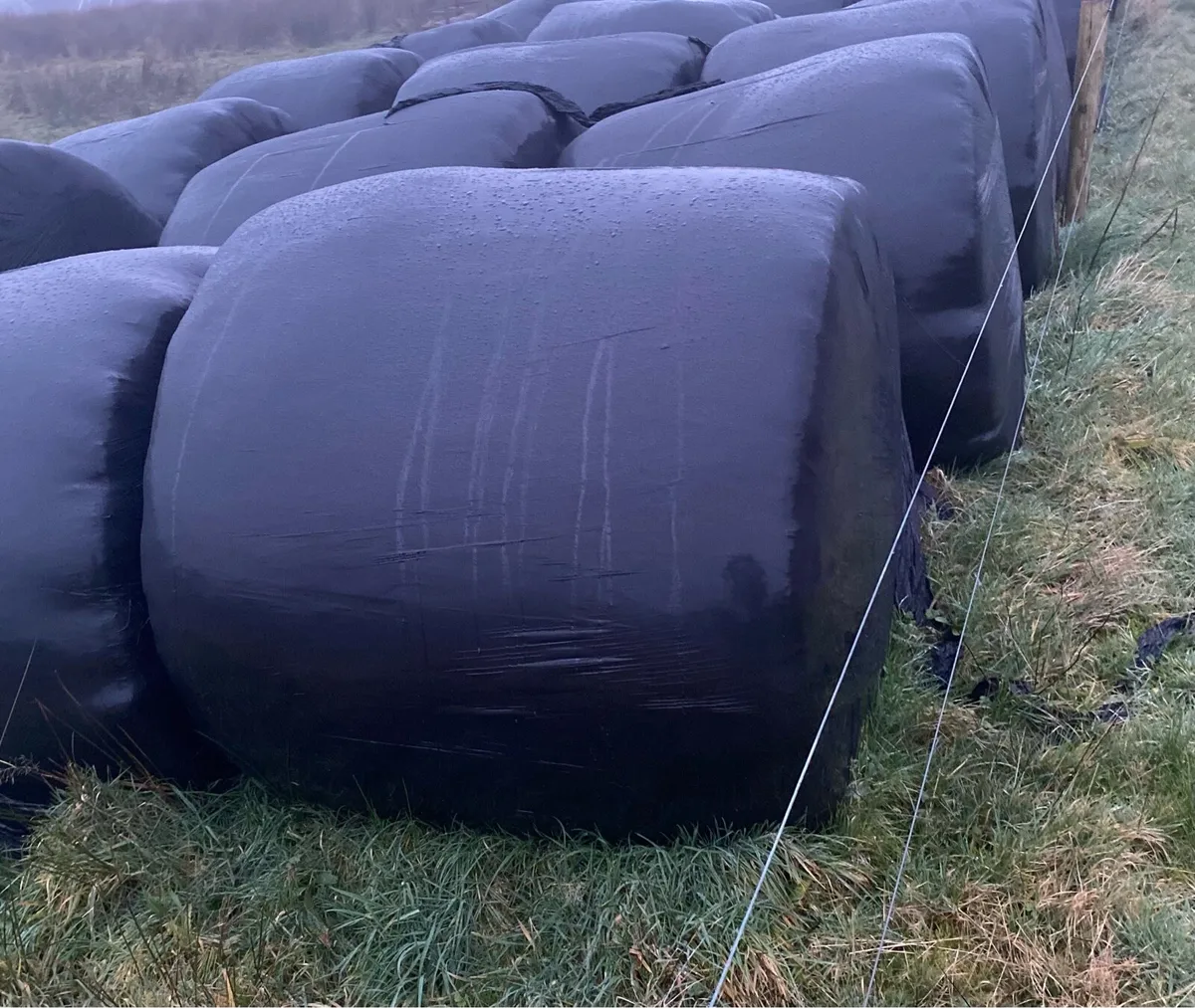 Silage bales