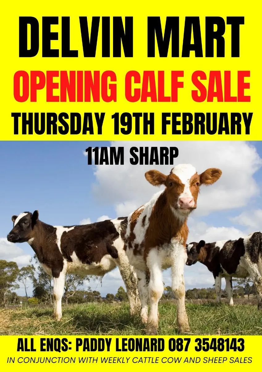 OPENING CALF SALE