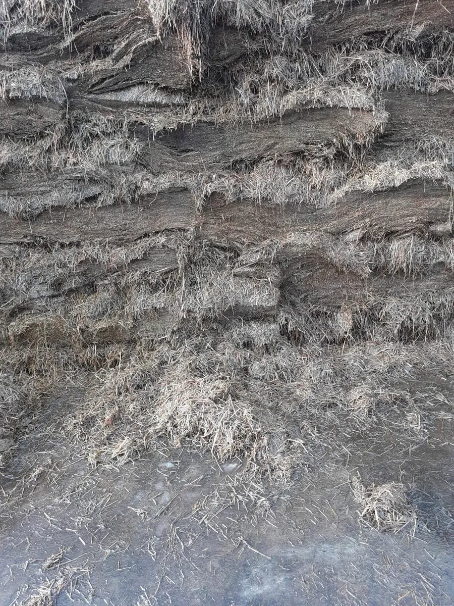 Pit silage - Image 3