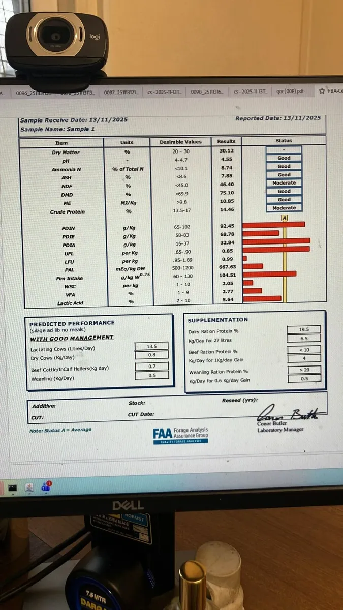 Pit silage - Image 1