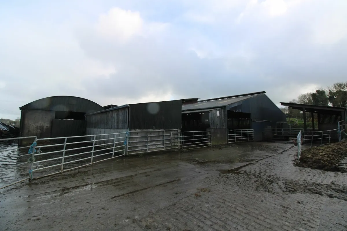 Lands To Let Puckane, Tipperary - Image 4