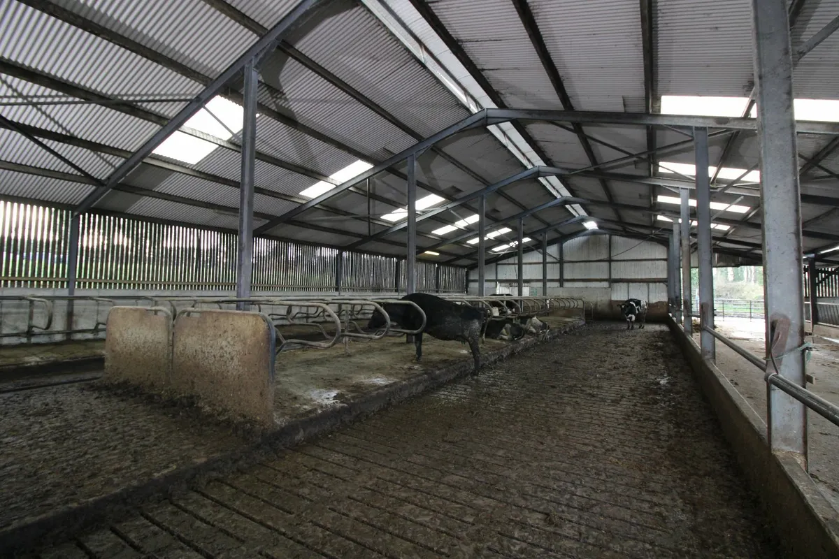 Lands To Let Puckane, Tipperary - Image 2