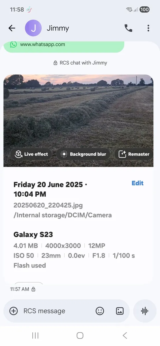 Very good fodder green hay - Image 2