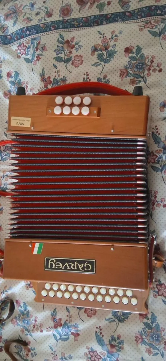 Accordion - Image 1