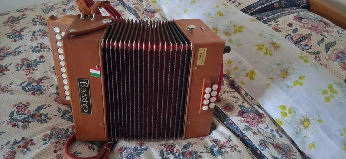 Accordion - Image 2