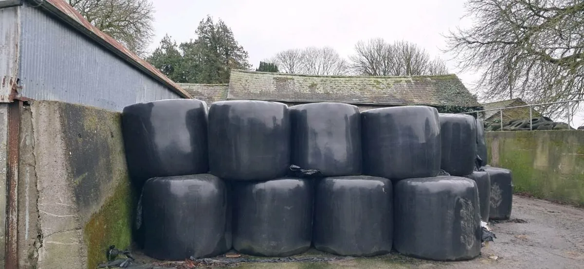 Haylage bales for sale