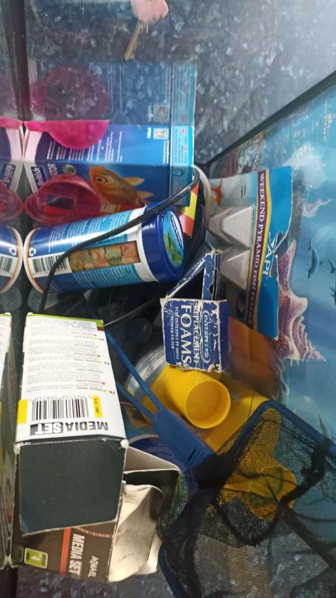 Fish tank with accessories - Image 3