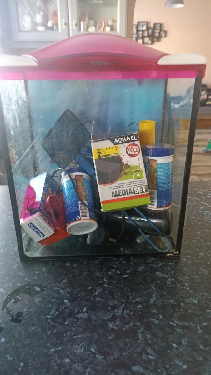 Fish tank with accessories - Image 1