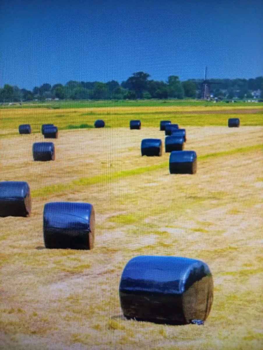 haylage  bales  40 euro
