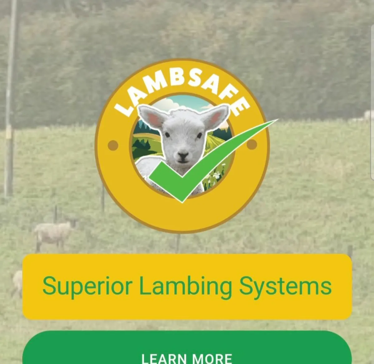 Lamb Station - lambing - Image 1