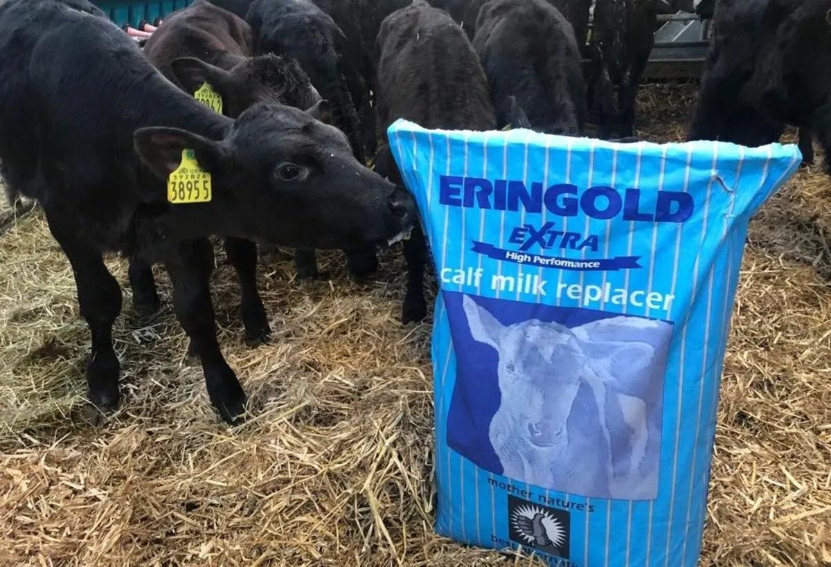 Eringold Calf Milk Replacers - Image 4