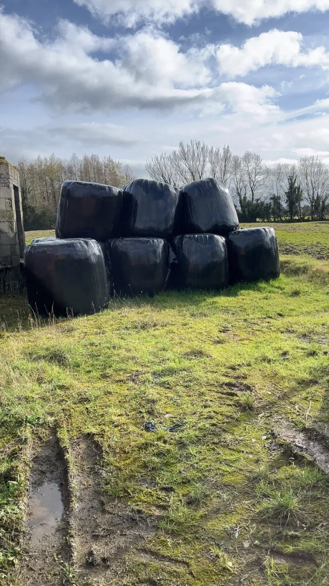 Silage