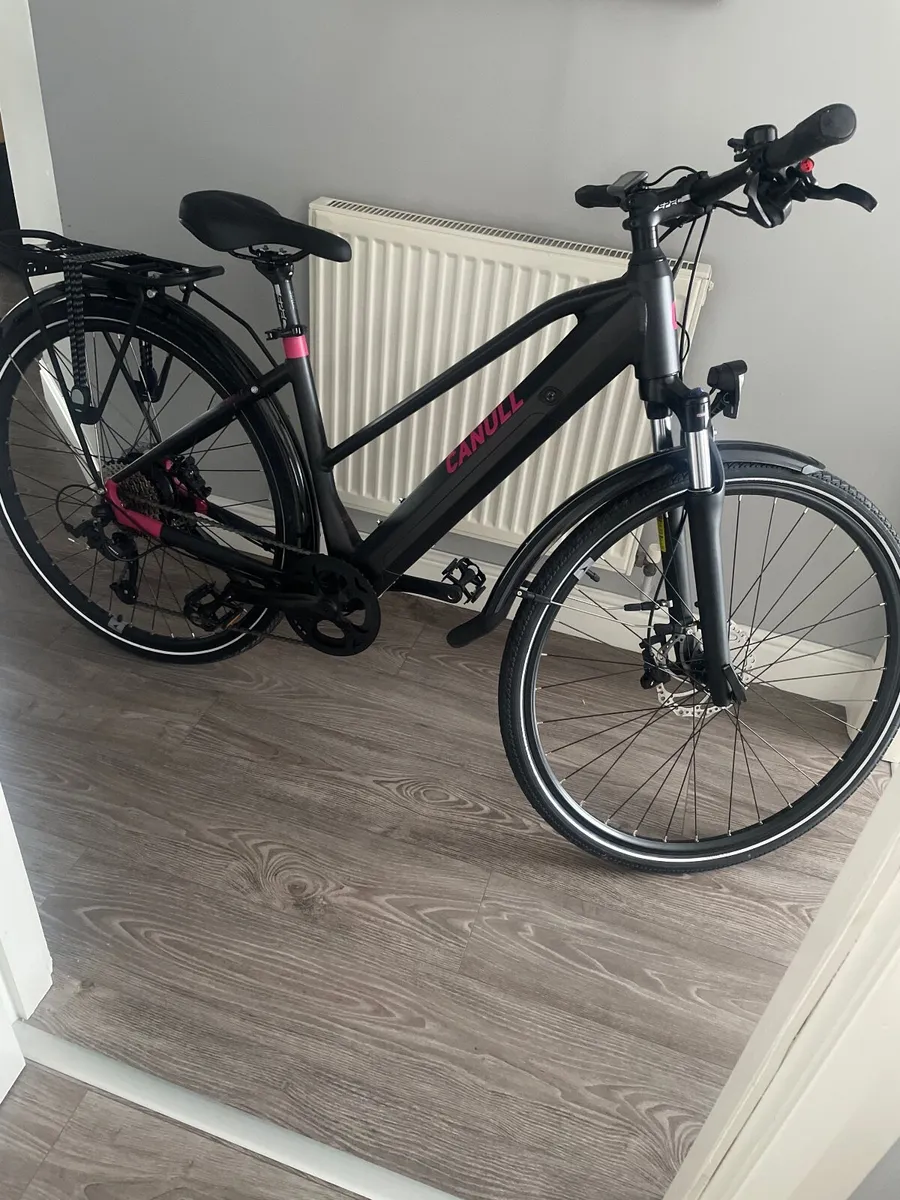 Electric bike - Image 1