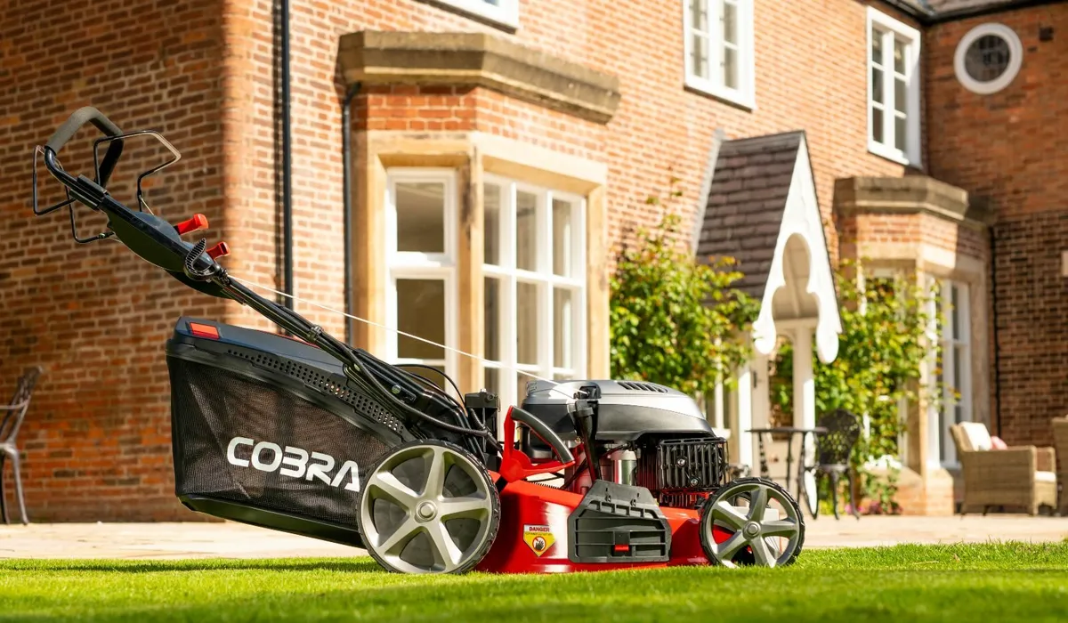 21" Cobra Self Propelled / Electric Start - Image 1