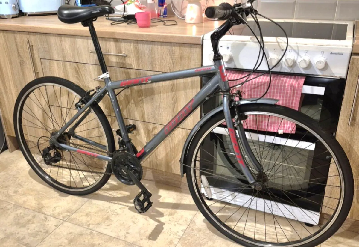 ADULTS GIANT BIKE 20"FRAME FANTASTIC CONDITION GEA - Image 1