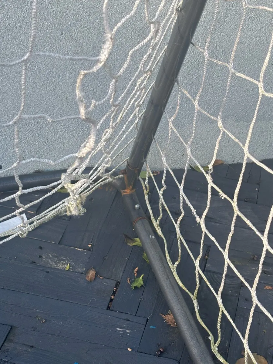 Forza goals - Image 2