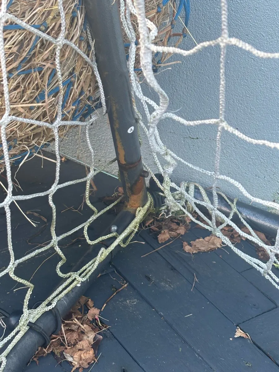 Forza goals - Image 3