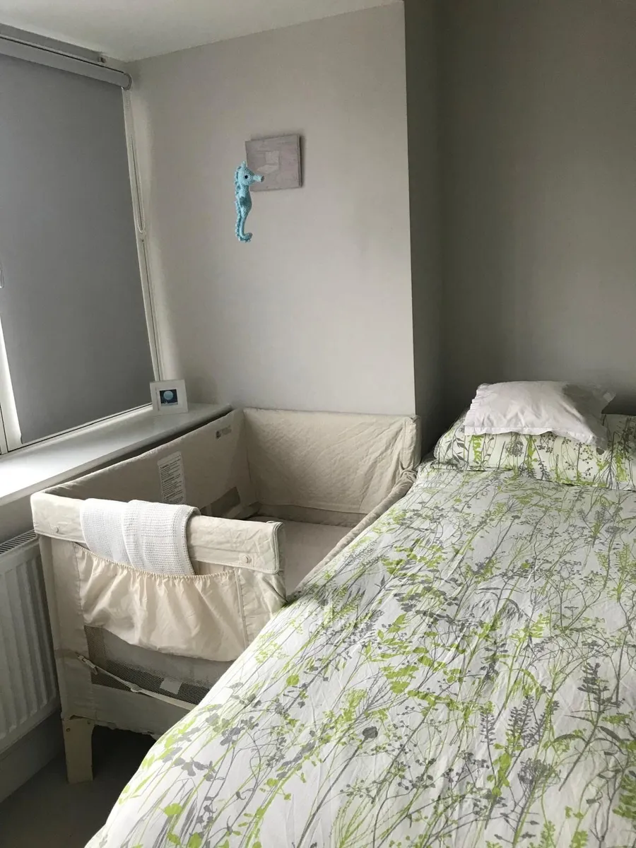 Arms Reach Universal Co-Sleeper - twins friendly - Image 1