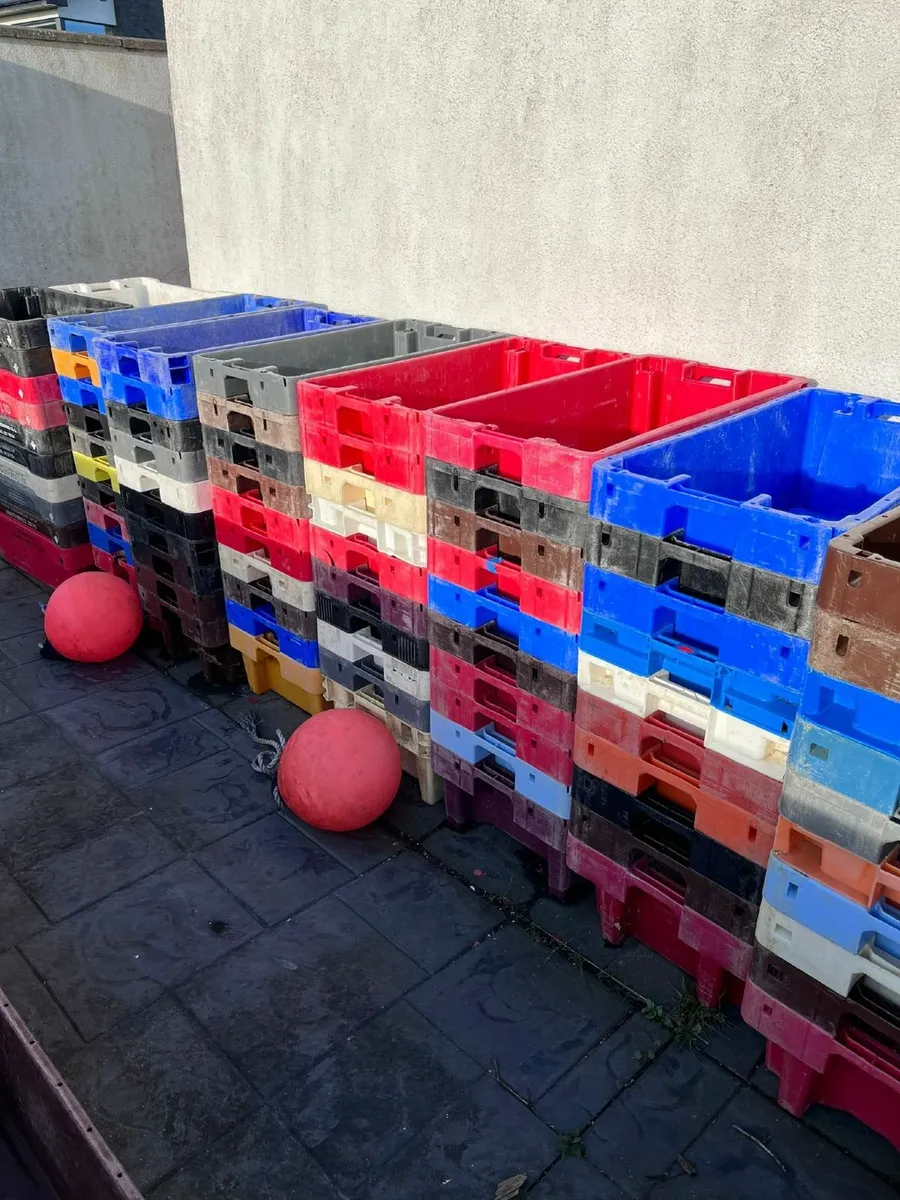Fish boxes - Image 1