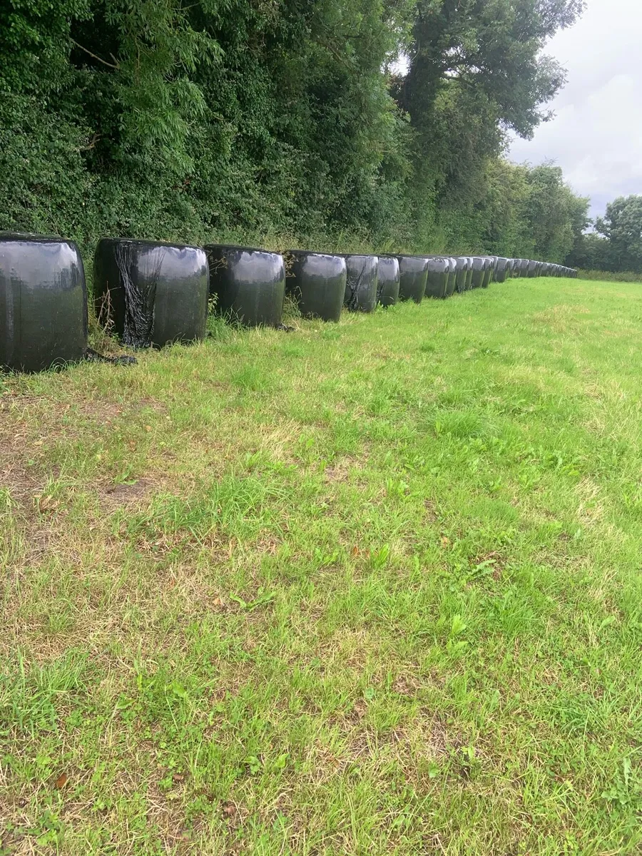 Silage bales - Image 1