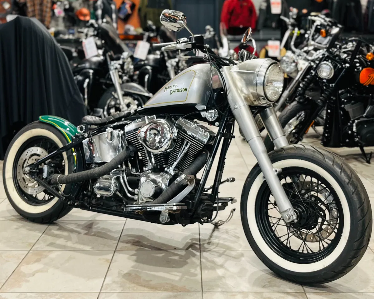 HARLEY-DAVIDSON SOFTAIL IRISH BLOOD CUSTOM - Image 2
