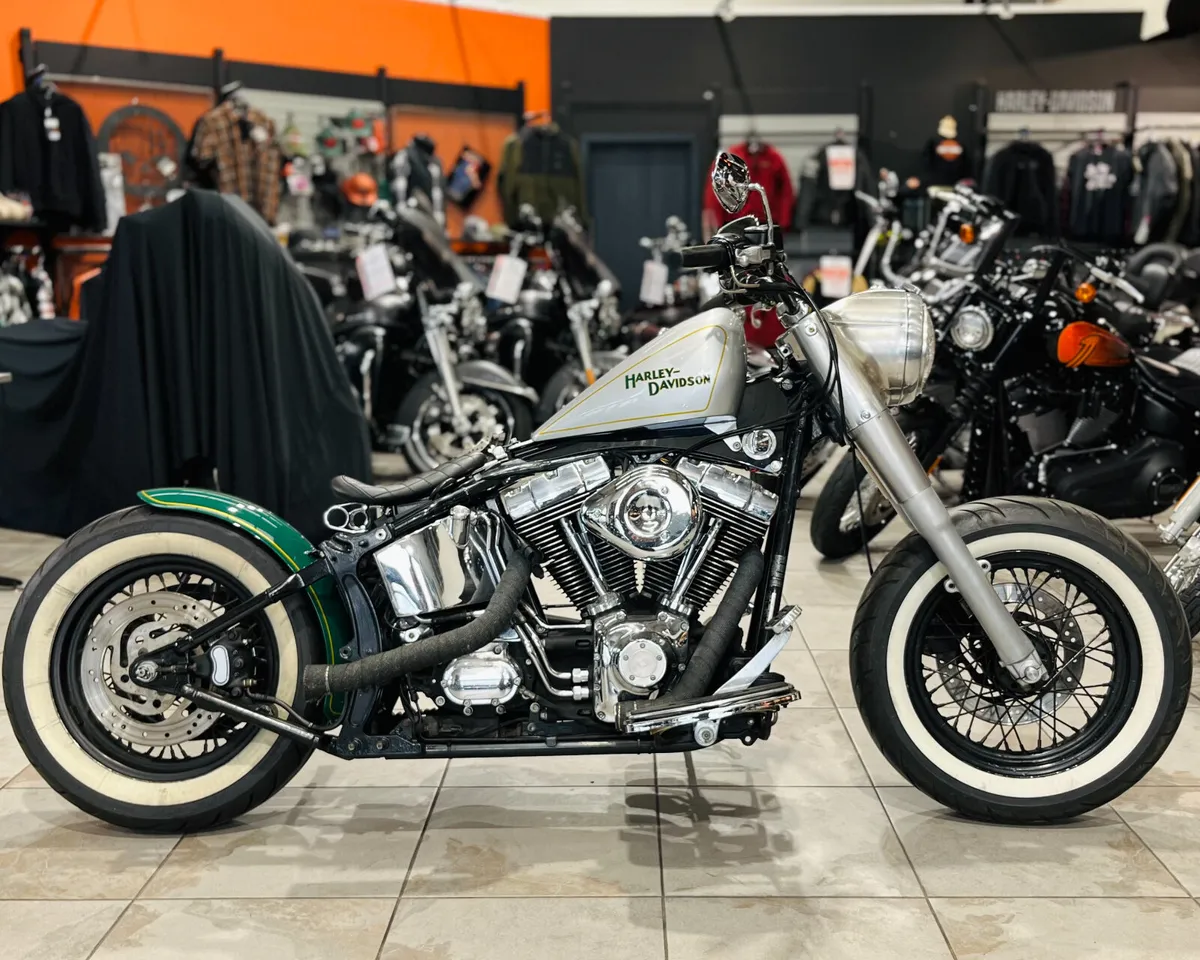 HARLEY-DAVIDSON SOFTAIL IRISH BLOOD CUSTOM - Image 1