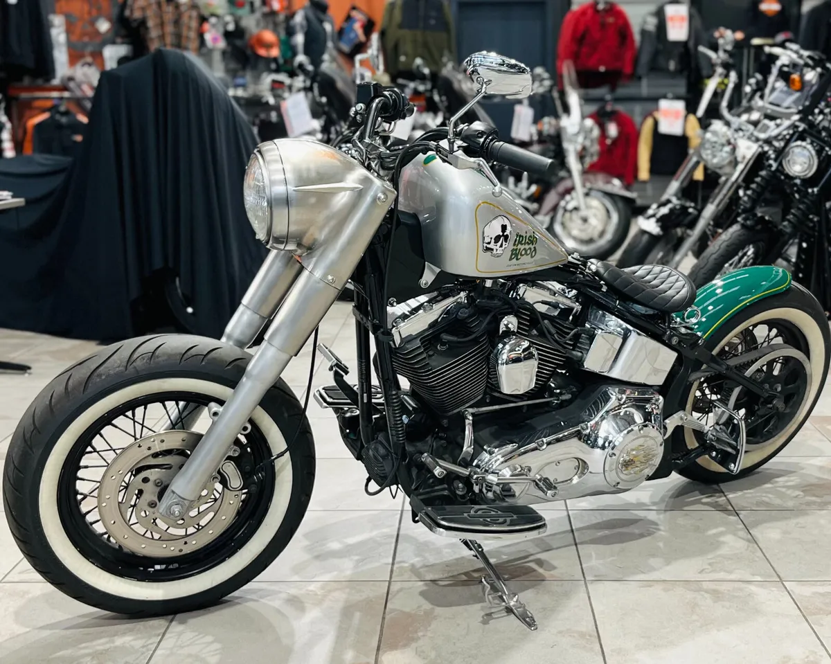 HARLEY-DAVIDSON SOFTAIL IRISH BLOOD CUSTOM - Image 3