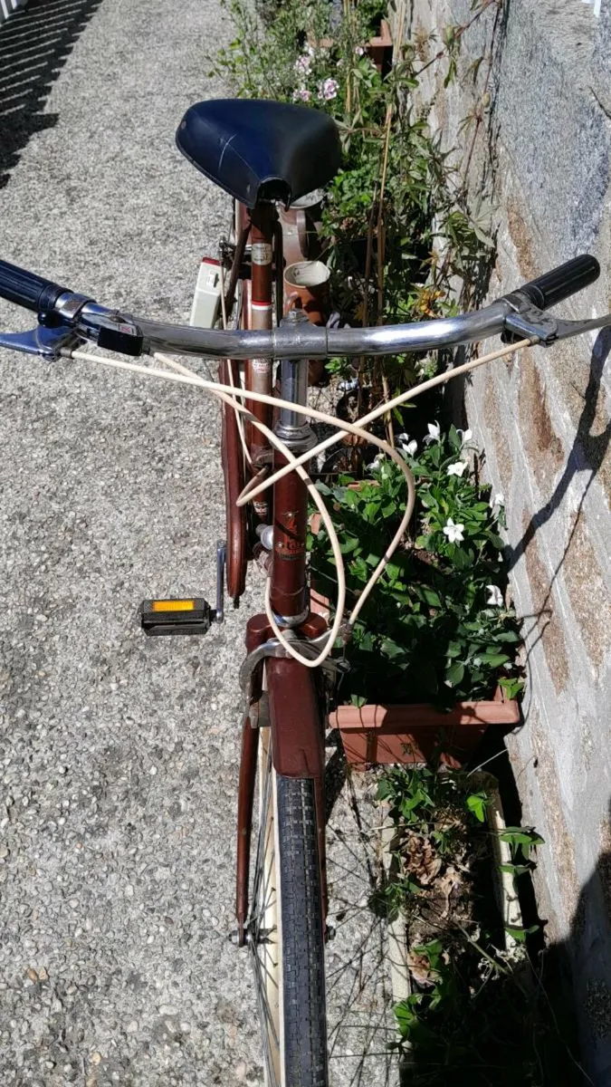 Vintage French Raleigh - Image 3