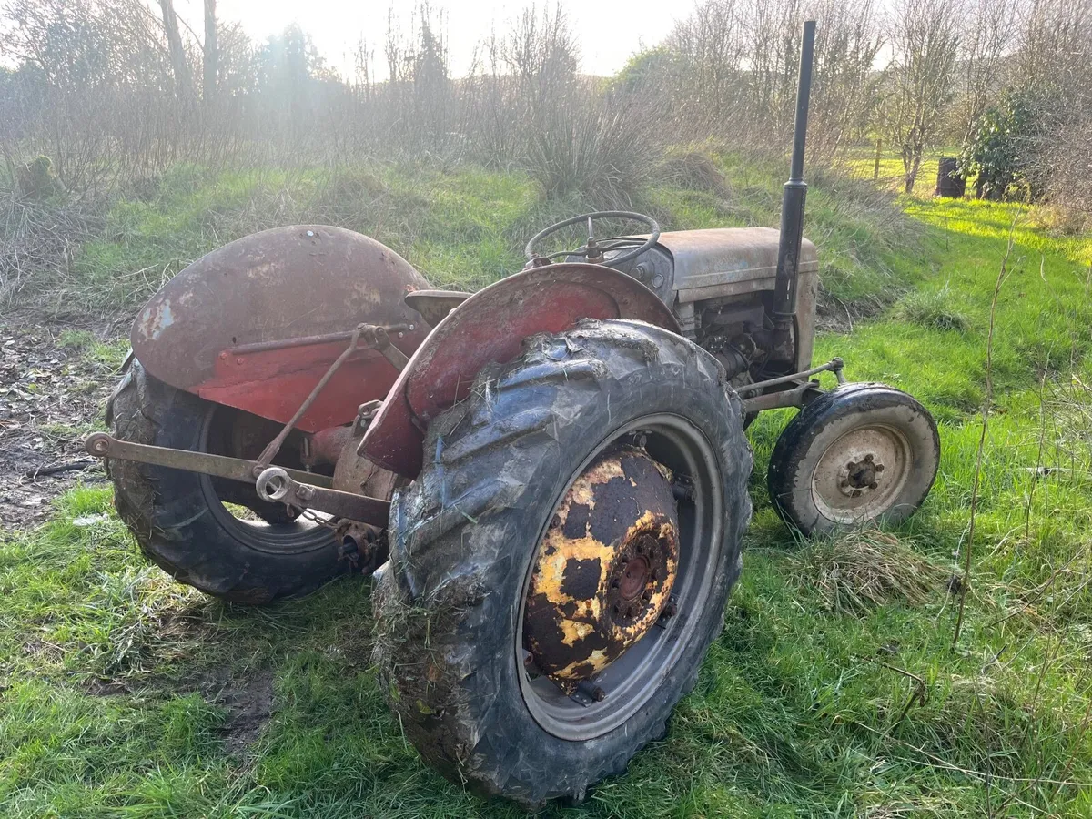 ferguson 20 diesel - Image 3